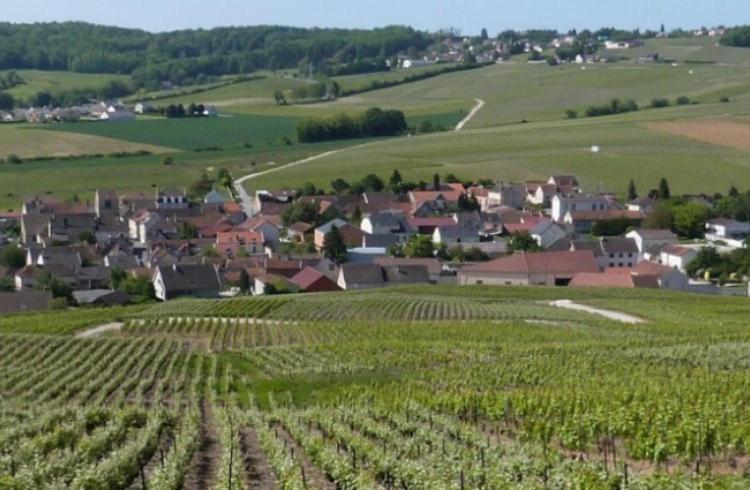 Ferienwohnung La Longere De Vin'Ay Vinay  Exterior foto